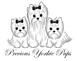 pyp-logo